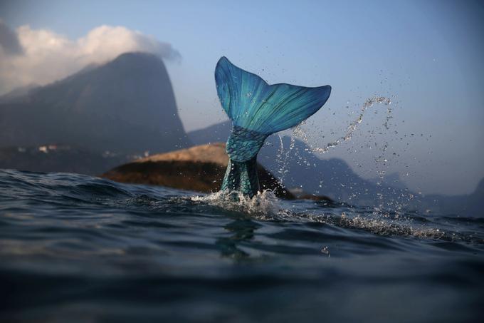 Morska deklica | Foto: Reuters