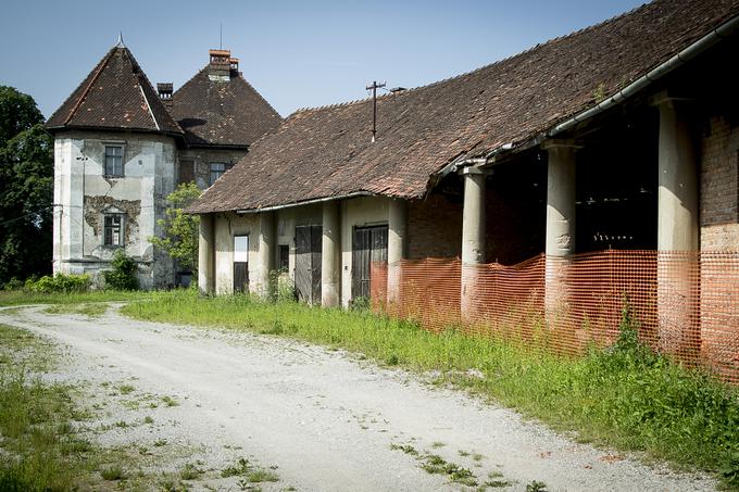 grad Bokalce | Foto: Ana Kovač