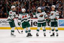 Minnesota Wild