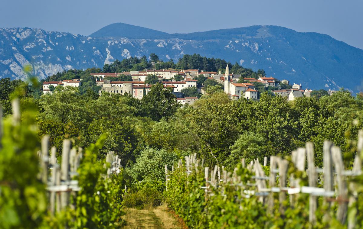 Štanjel, Kras | Foto Marijan Močivnik (www.slovenia.info)