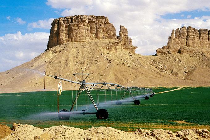 Krožne njive Savdske Arabije so veliko večje, kot bi sklepali po fotografijah. Manjše v premeru merijo nekaj sto metrov, večje pa tudi do tri, štiri kilometre.  | Foto: National Geographic