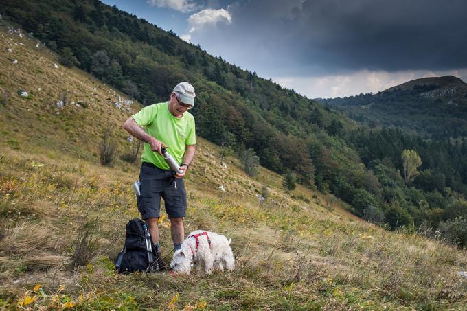 Požirek za pohodniško mini karavano, tudi za štirinožno spremljevalko. | Foto: Klemen Korenjak