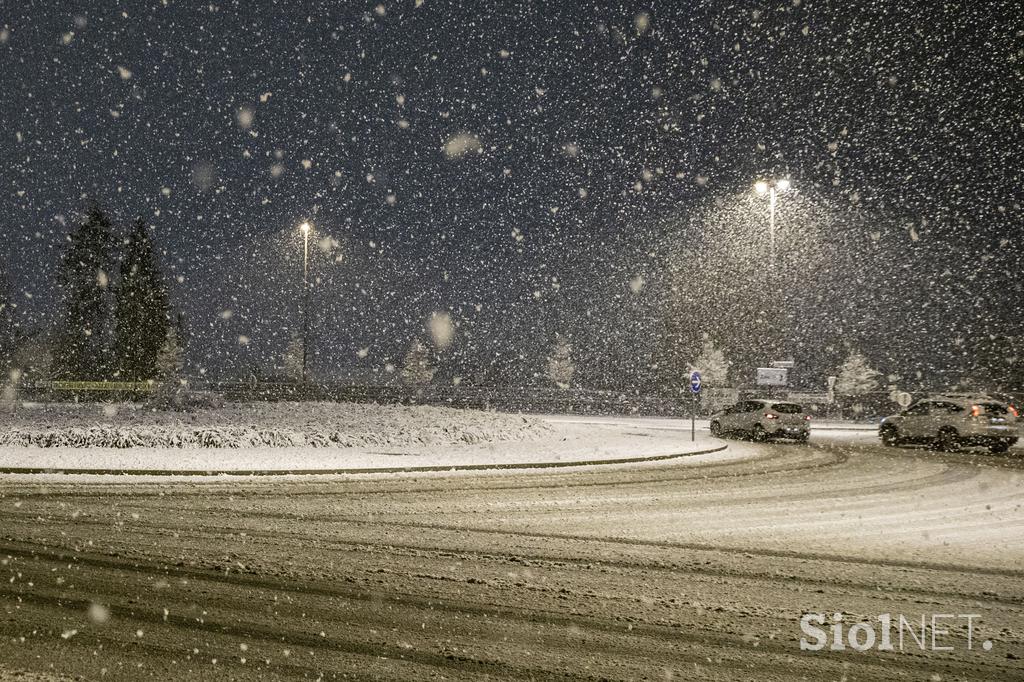 Sneg v Ljubljani