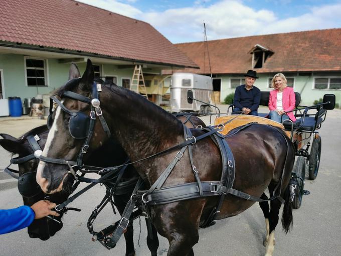 Planet na obisku: Prlekija | Foto: 