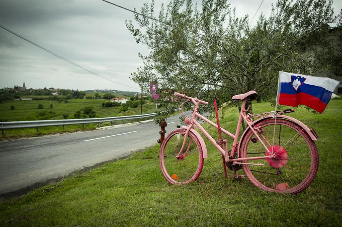 Goriska Brda Giro priprave | Foto: Ana Kovač