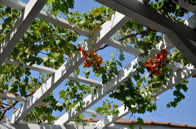 Pergola za majhne prostore | Foto: Thinkstock