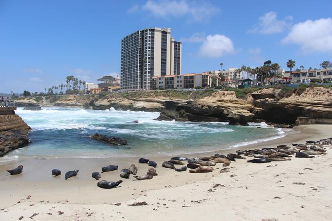 La Jolla v San Diegu je med priljubljenimi destinacijami s plažami v Kaliforniji.   | Foto: Osebni arhiv