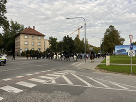 Slovaški navijači, Olimpija - Slovan