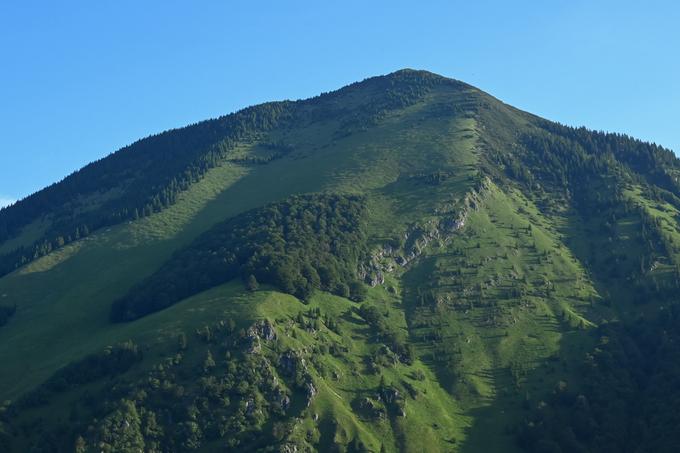 Pogled na Cjanovco in Hudičev boršt z razgledišča nad Jakobom | Foto: Matej Podgoršek