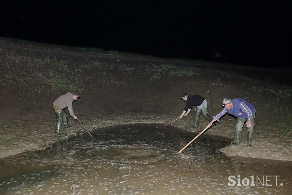 Cerkniško jezero reševanje rib