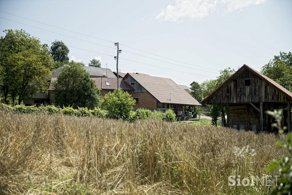 Turistična ekološka kmetija Čemas Vinica Zilje Bela Krajina Kolpa