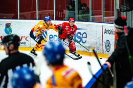 HDD Jesenice Asiago Alpska liga polfinale