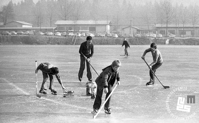 Koseško barje, 1976 | Foto: Nace Bizilj, hrani: MNZS