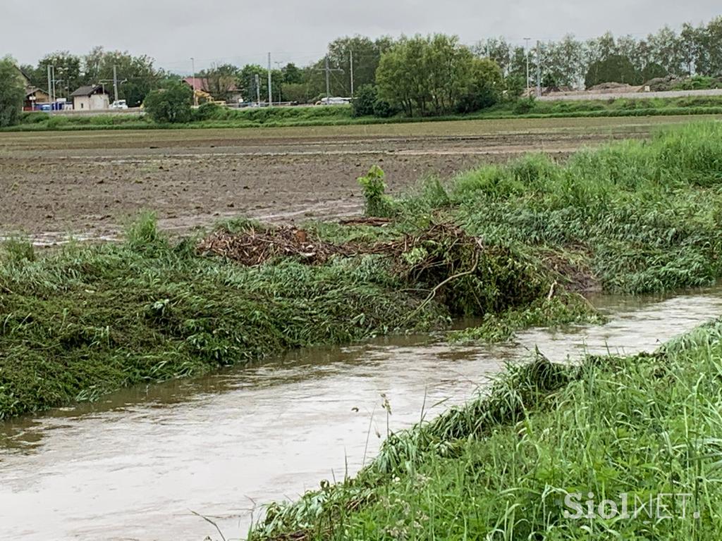 Slovenska Bistrica poplave njive