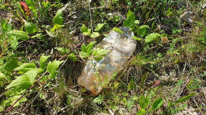 Ljudje iz avtomobilov odmetavajo tudi plastenke in steklenice. | Foto: Metka Prezelj