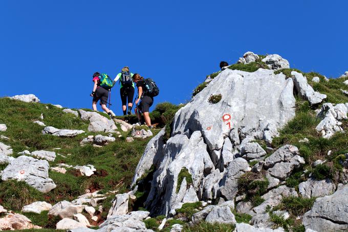 Grintovec | Foto: Matej Podgoršek