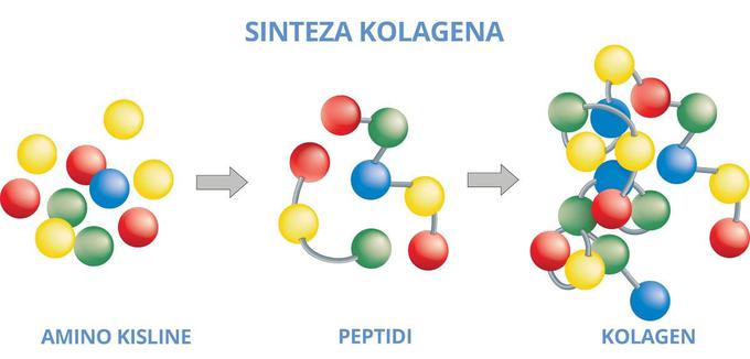 Collagen Complex | Foto: 