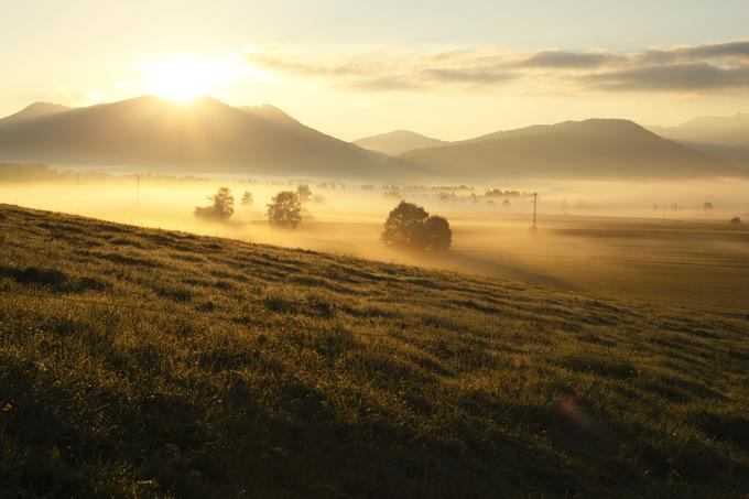 meglica jutro narava | Foto: 