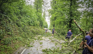 Zaradi udara strele ena oseba v bolnišnici, neprevozne ceste, veter podiral drevesa #video #foto