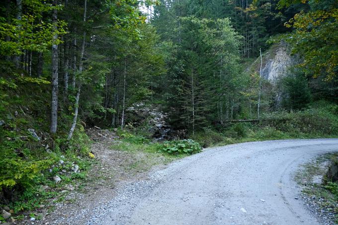 Z makadamske ceste proti zgornjemu parkirišču v Krnici se na prvi serpentini usmerimo po bližnjici levo v gozd. | Foto: Matej Podgoršek