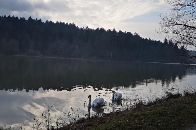 Gradiško jezero | Foto Katja Nakrst