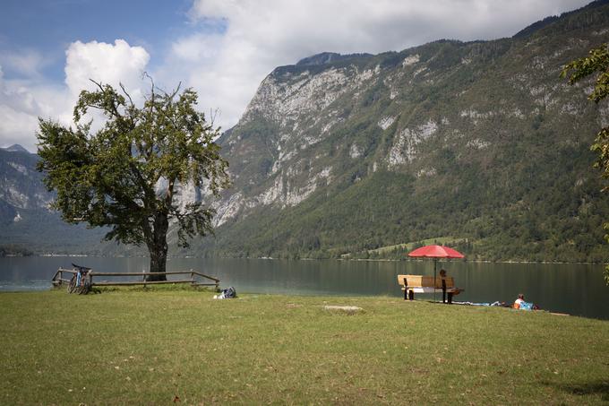 Peugeot Bohinj | Foto: Bojan Puhek