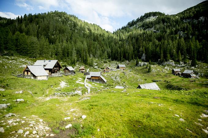 Planina Dedno polje | Foto: Ana Kovač