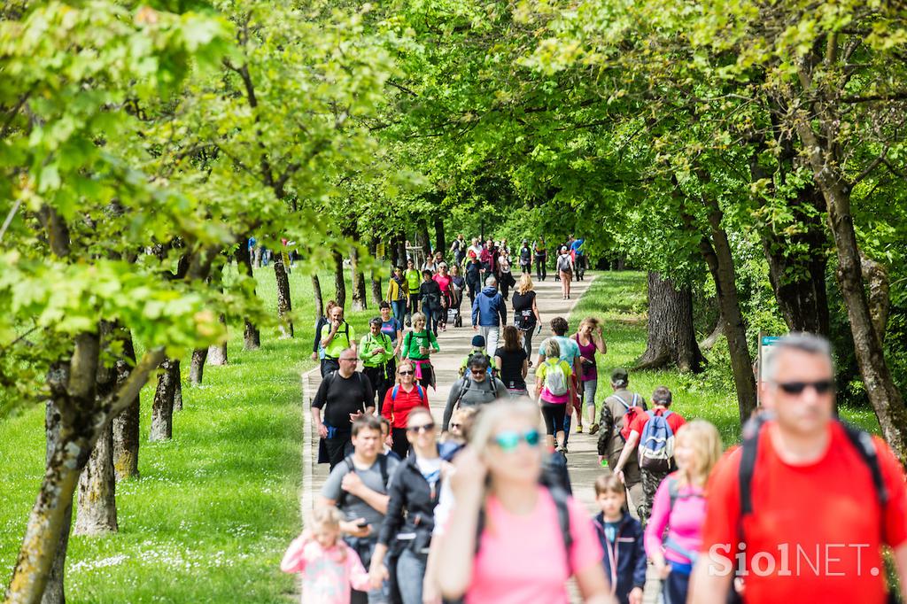 pohod pot ob žici 2019