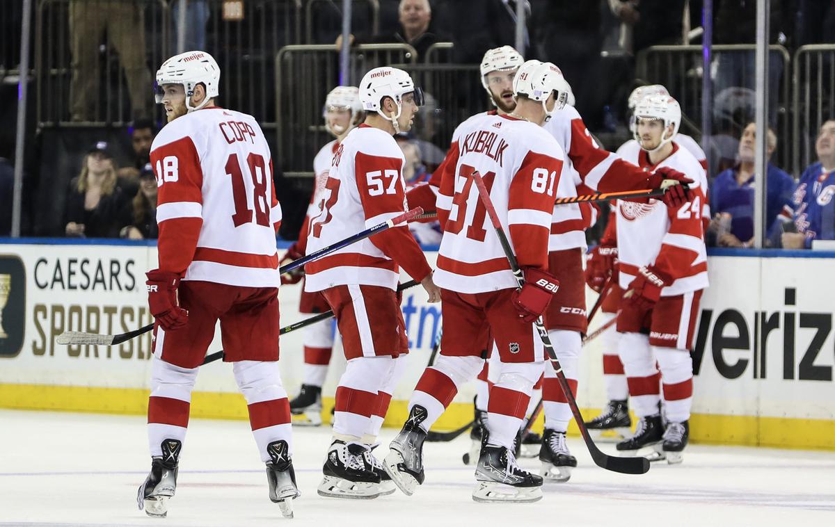 Detroit Red Wings | Florida Panthers gostijo Detroit. | Foto Reuters