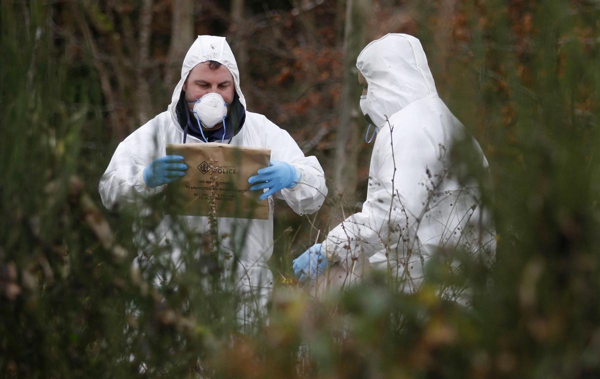 Policija, gozd | Ugotovili so, kdo je bil mrtev moški.  | Foto Reuters