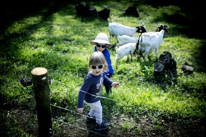 Alja in Miha Grat otroci slepi slabovidni očala | Foto: Ana Kovač