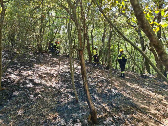 Od noči na torek so na slovenski strani požarišča vrstile izmene gasilcev iz različnih delov države, hkrati jih je delalo do 150. | Foto: Uprava RS za zaščito in reševanje