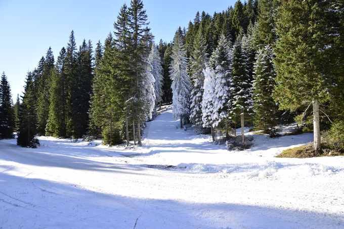 Svetovna biatlonska elita se bo za točke svetovnega pokala bojevala od petka, 9. decembra, do nedelje, 11. decembra. | Foto: Biathlon Pokljuka