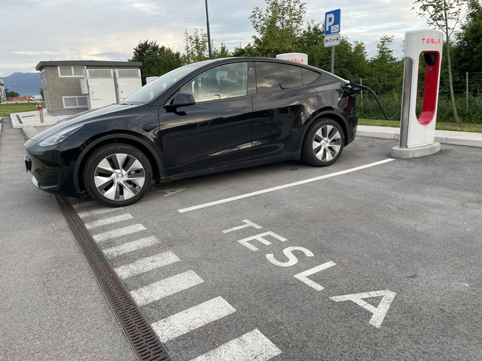 Tesla model Y je z naskokom najbolje prodajani električni avtomobil v Sloveniji. | Foto: Gregor Pavšič