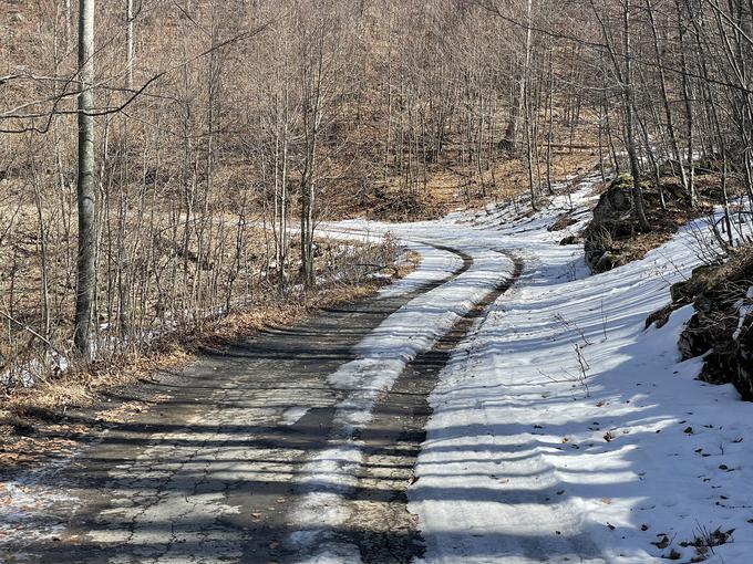 Prvi zameti že v prvih kilometrih stranske ceste proti Platku, kjer so avtomobili tudi sicer redki.  | Foto: Gregor Pavšič