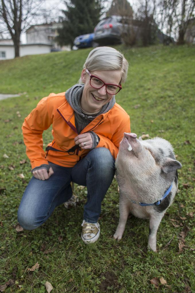 V Sloveniji se pujse še vedno obravnava kot živali za zakol in ne hišne ljubljenčke, opozarja Viktorija Štancer Antolin. | Foto: Matej Leskovšek