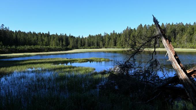 Črno jezero je največje jezero na Pohorju. | Foto: Matej Podgoršek