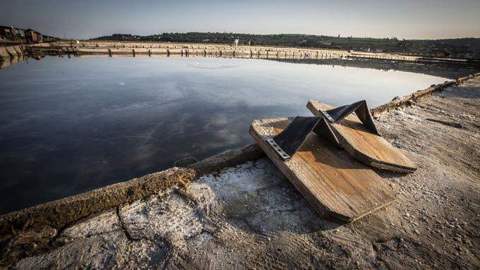 Najdragocenejši pridelek Piranskih solin je solni cvet, katerega drobni piramidasti kristali od bele do rožnate barve nastajajo le ob brezvetrju, saj jih zmoti že najmanjši val.  | Foto: Bojan Puhek