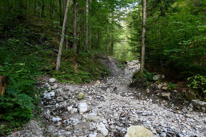 Na začetku pešpot preči dva hudournika, ki sta lani v ujmah tu nosila precej materiala. | Foto: Matej Podgoršek