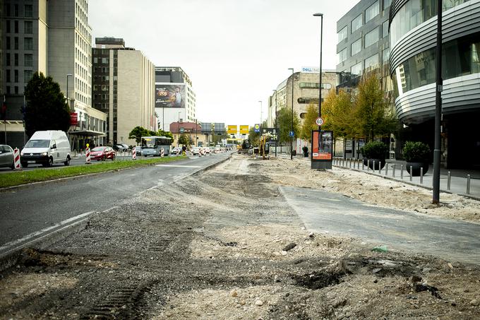 Dunajska, kolesarska steza | Foto: Ana Kovač