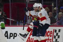 Florida Panthers