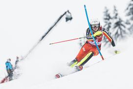 Zlata lisica, slalom