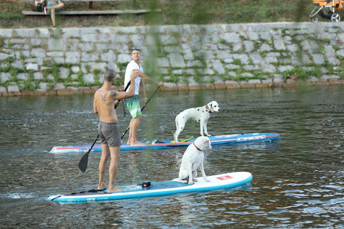 supanje | Foto: Žiga Gombač