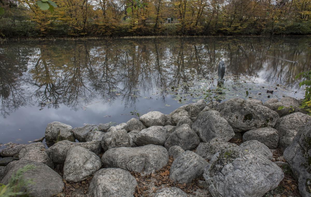 Ribnik Tivoli bajer | Informacije o tem, kdo in od kod je bil moški, niso znane. Fotografija je simbolična.   | Foto Matej Leskovšek