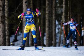 Pokljuka, biatlon