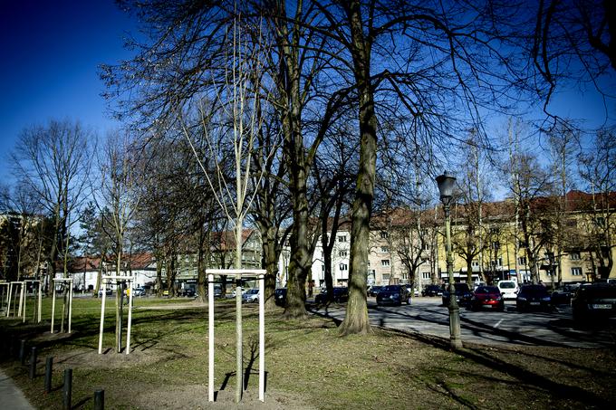 V petdesetih letih prejšnjega stoletja sta Cekinov drevored in območje okrog njega doživela največ (neprijaznih) odmikov od svoje izvirne zasnove. | Foto: Ana Kovač