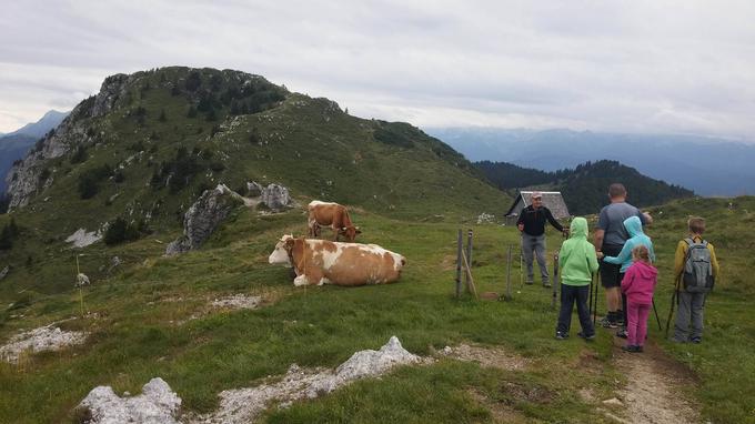 Med obiskovalci Krekove koče na Ratitovcu je vedno več družin z majhnimi otroki. | Foto: Alenka Teran Košir