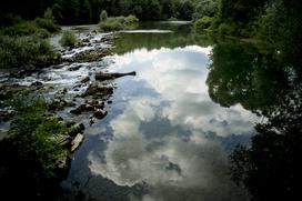 Turistična ekološka kmetija Čemas Vinica Zilje Bela Krajina Kolpa