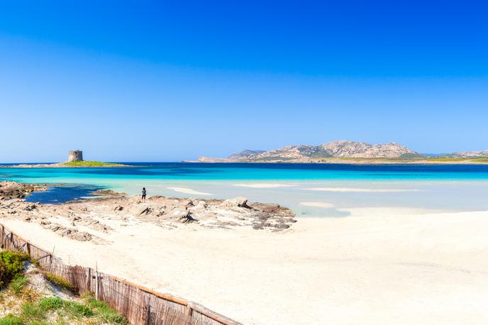 La Pelosa Sardinija | Bele plaže Sardinije so ene najlepših. | Foto Getty Images