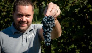 Zlata medalja za slovensko vino